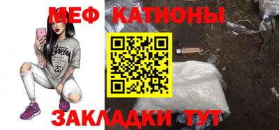 шишки Дубна