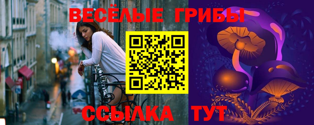 Псилоцибиновые грибы Psilocybine cubensis Киселёвск